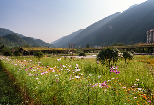 重庆涪陵大木花谷自然风光