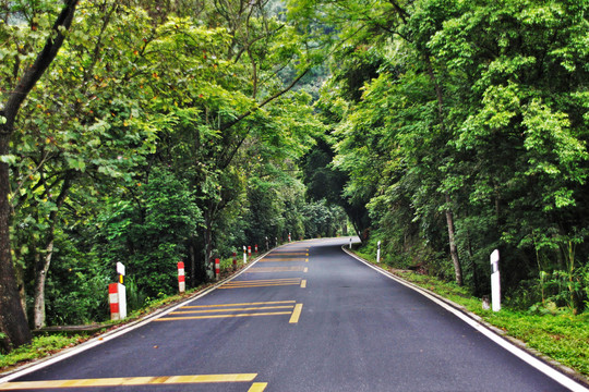 丹霞山盘山路