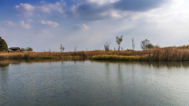 苏州太湖滨湖湿地公园