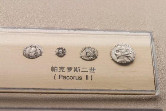 上海博物馆帕克罗斯二世