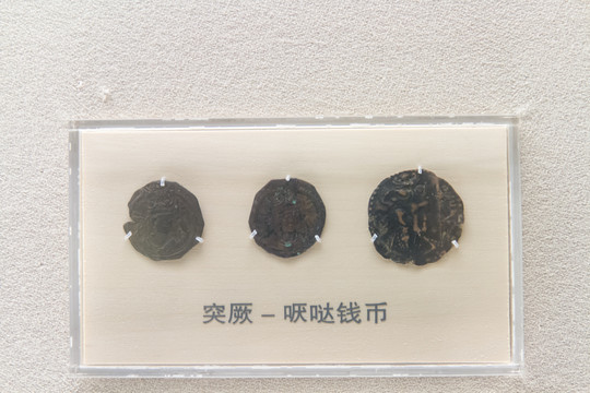 上海博物馆突厥哒哒钱币