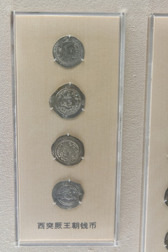 上海博物馆西突厥王朝钱币