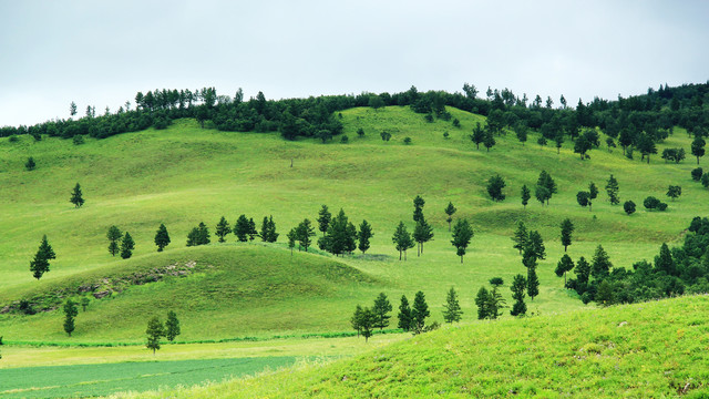 沿途风景