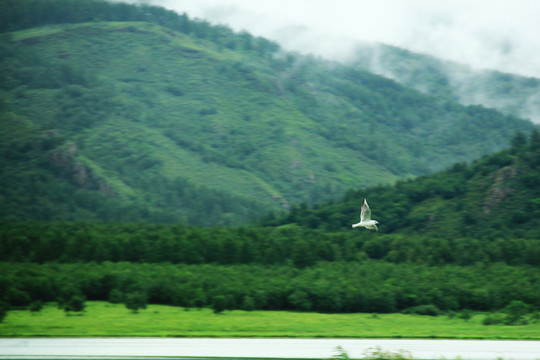 旅游沿途美景