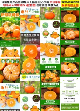 沙糖桔詳情