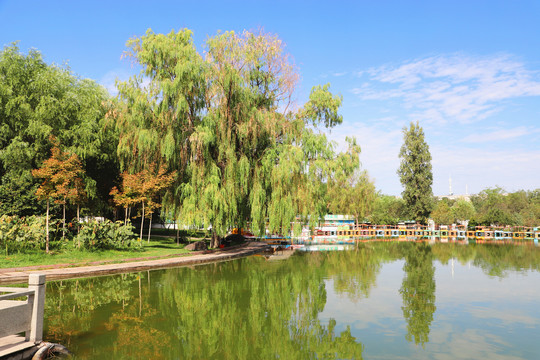 乌鲁木齐植物园美丽景色