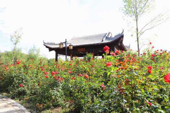 乌鲁木齐植物园