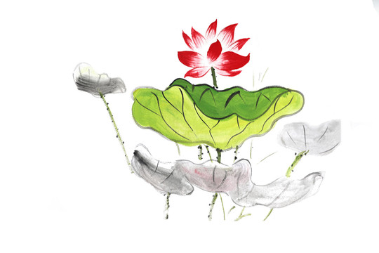 國(guó)畫(huà)荷花