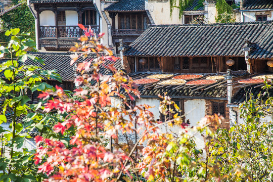 江西婺源风景