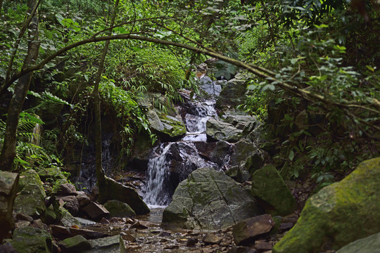 小溪流水