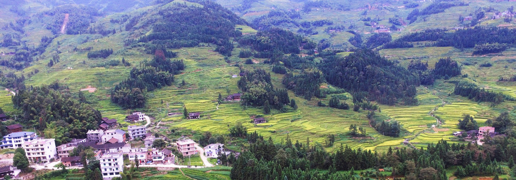 紫鹊界梯田秋景