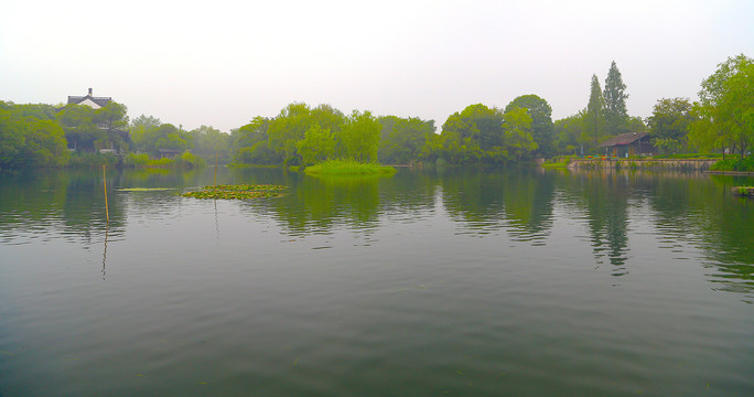 西溪湿地