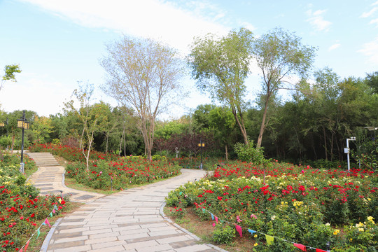 乌鲁木齐植物园