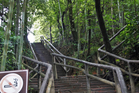 丹霞山山路