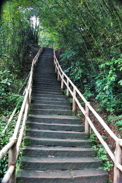 丹霞山山路