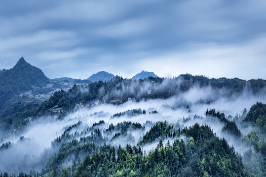 湖北恩施鹤峰木耳山