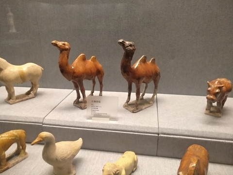 洛阳博物馆红釉骆驼