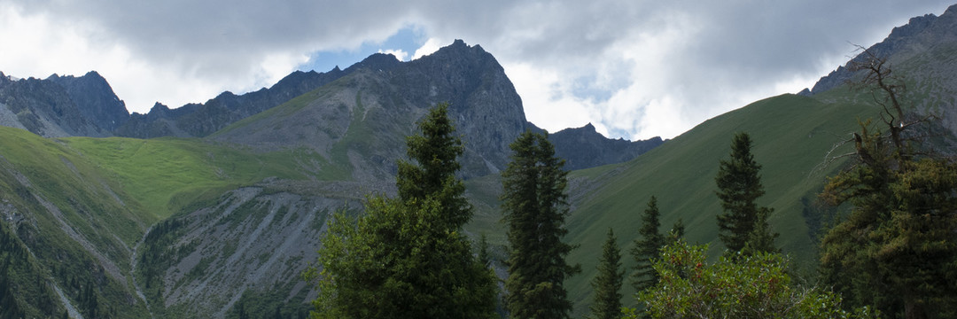 山景