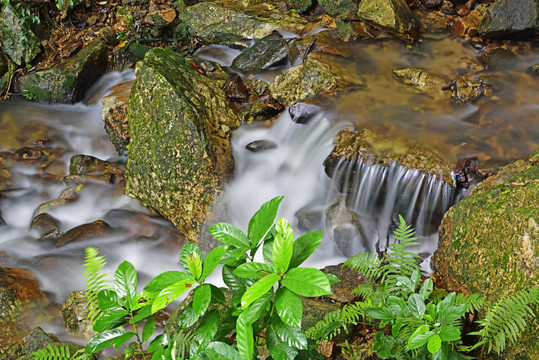 小溪流水