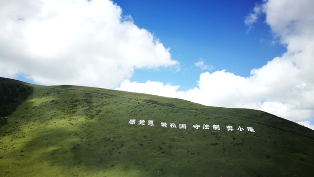 高山草甸大草原