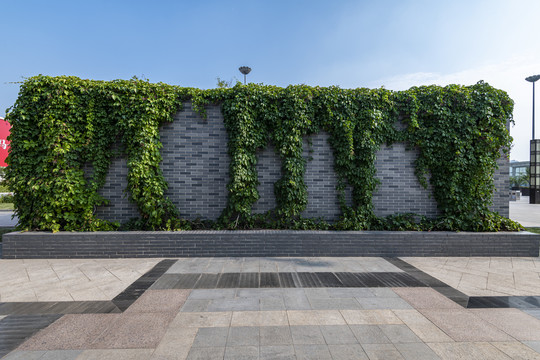 绿植青砖墙