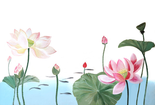 國畫荷花
