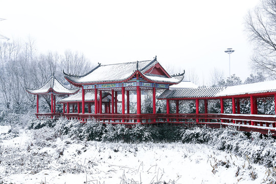 红廊冬雪