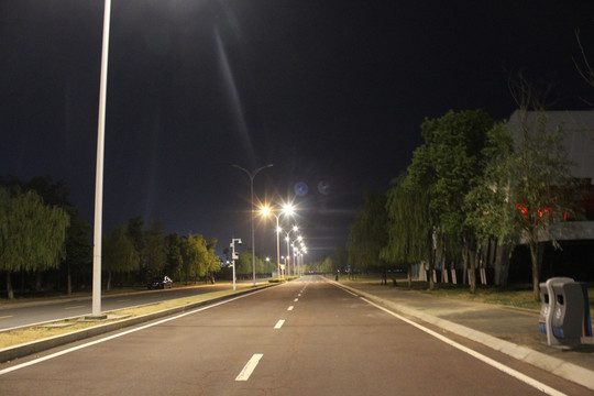 柳叶湖夜景