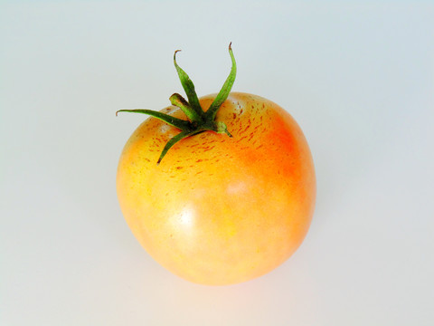 黄柿子