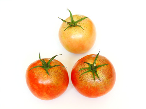 西红柿组合摄影