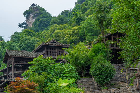 湖北宜昌三峡人家风景区夏日迷人