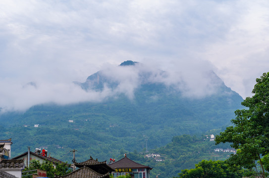 湖北宜昌三峡人家风景区夏日迷人