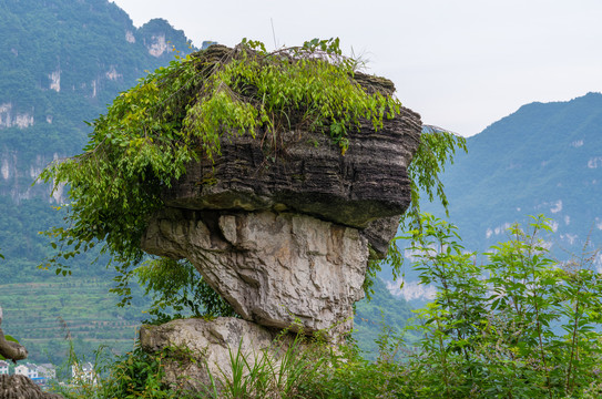 湖北宜昌三峡人家风景区夏日迷人