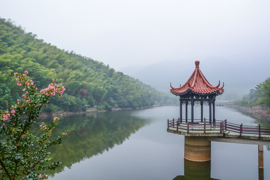 江苏宜兴竹海风景区夏日迷人风光