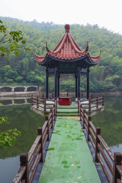 江苏宜兴竹海风景区夏日迷人风光