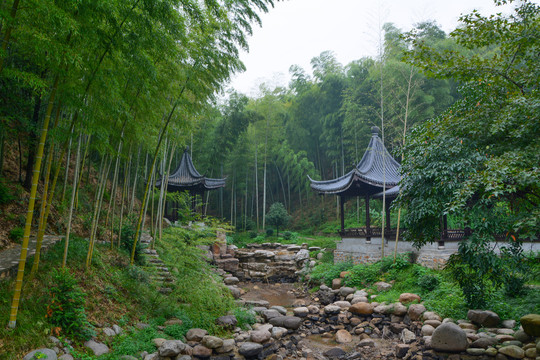 江苏宜兴竹海风景区夏日迷人风光