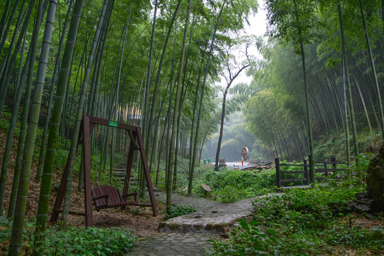 江苏宜兴竹海风景区夏日迷人风光