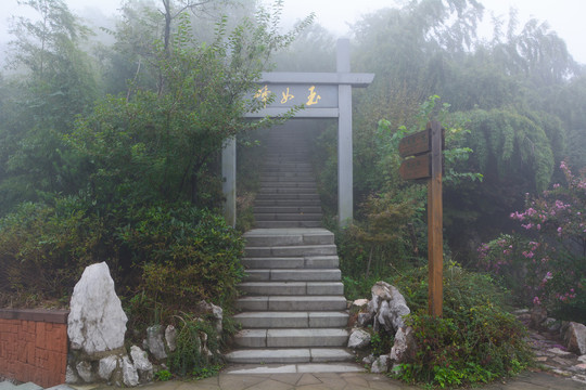 江苏宜兴竹海风景区夏日迷人风光