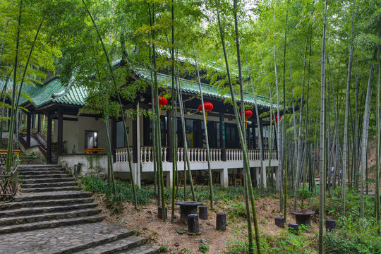 江苏宜兴竹海风景区夏日迷人风光