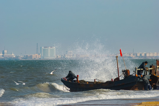 浪花里的渔船海鸥和城市