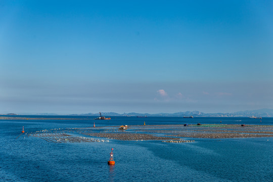 海水养殖