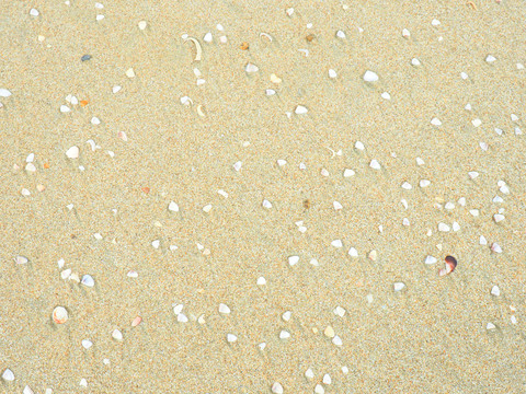 海滩沙