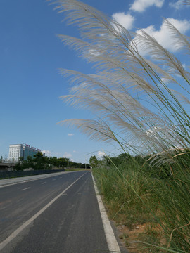 公路风景