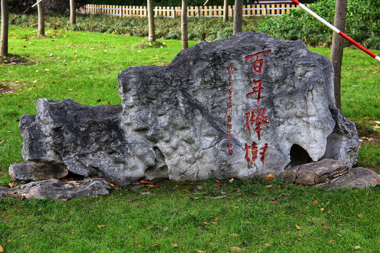 上海陆家嘴闹市区