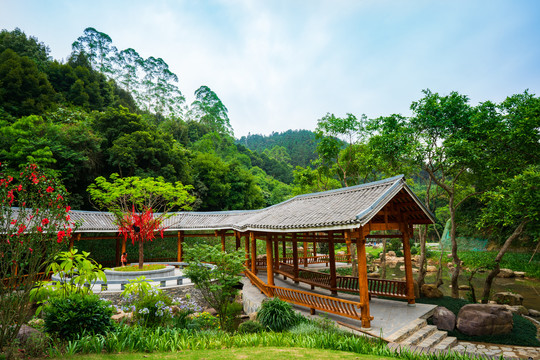 广西高峰森林公园生命河谷