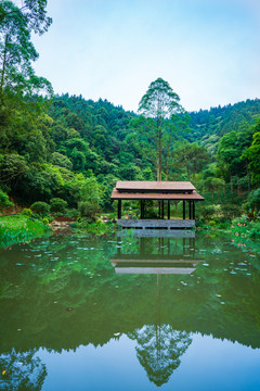 广西高峰森林公园