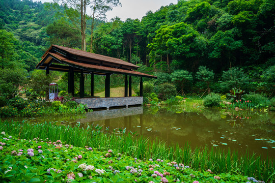 广西高峰森林公园