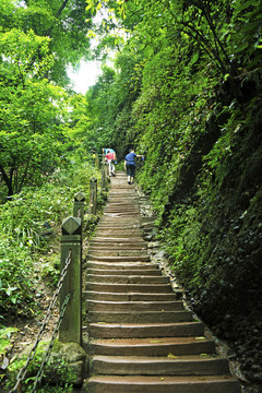 登山