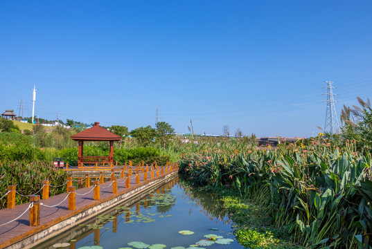 那考河湿地公园风光