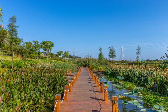 那考河湿地公园风光